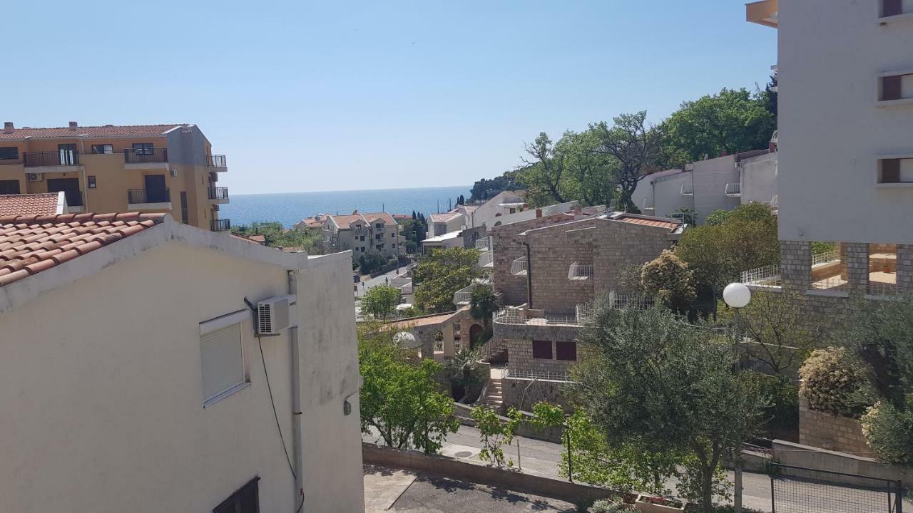 Apartmani Irena Petrovac na moru Zimmer foto